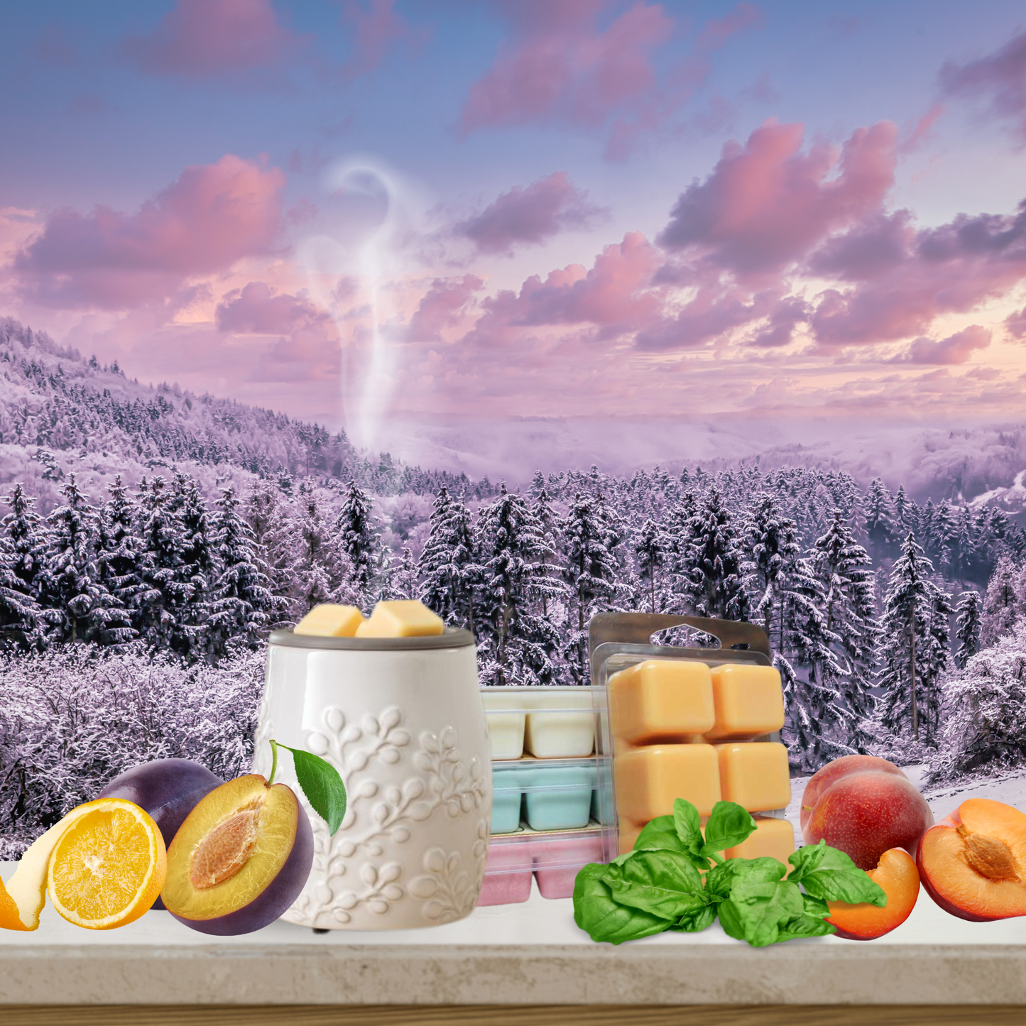 Winter Plum Bliss Wax Melts